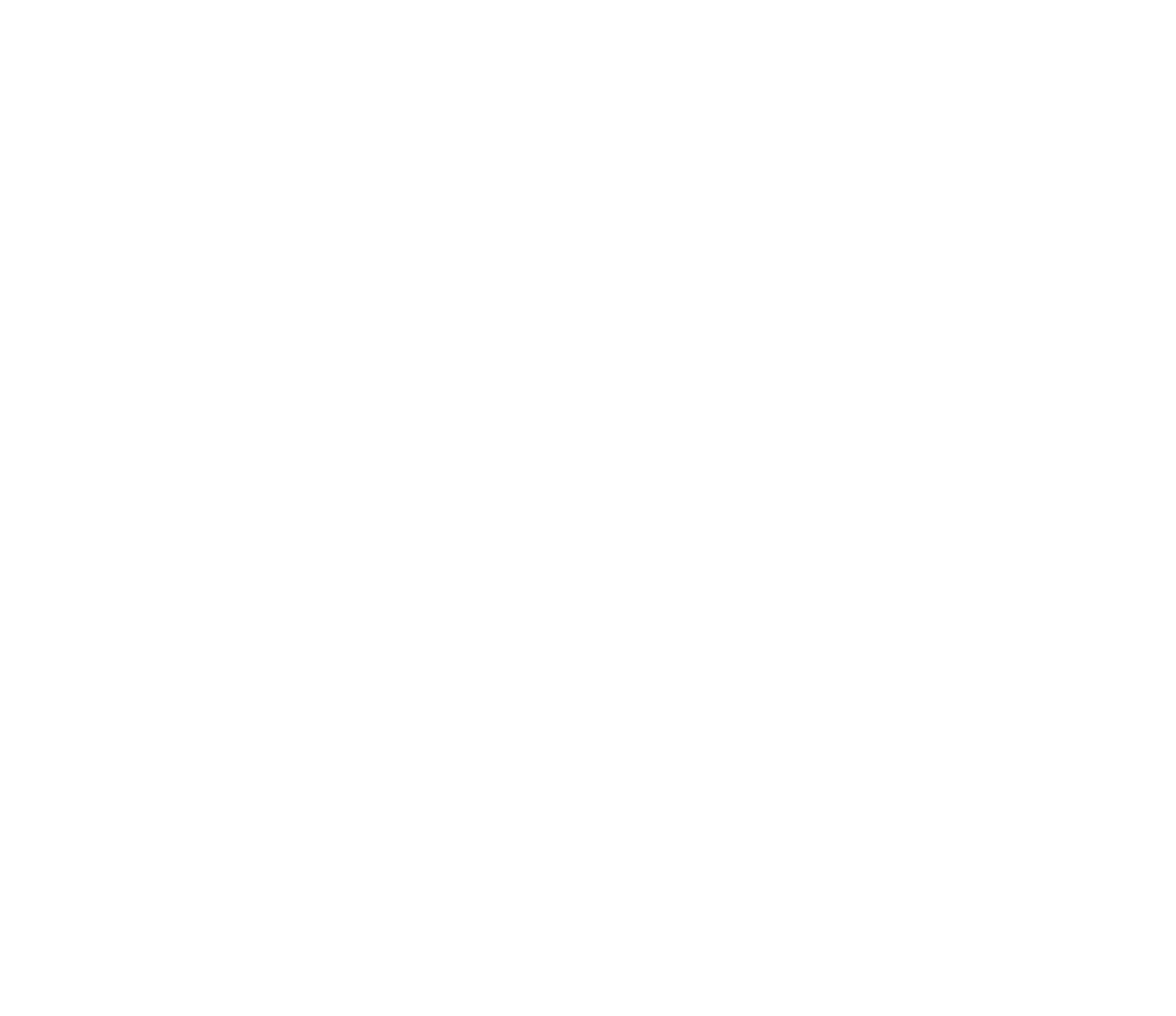 NCIRL logo